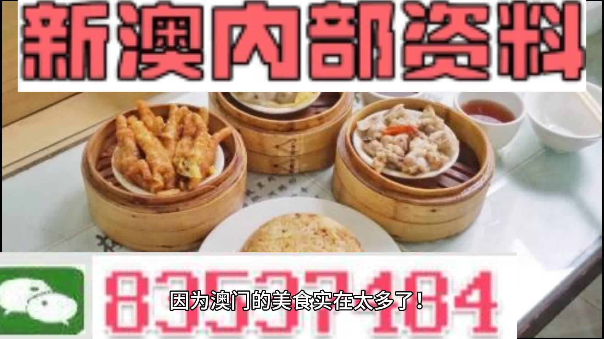 新澳门资料大全正版资料，探索与解读