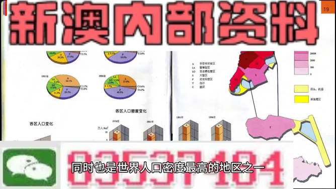 关于新澳新澳门正版资料的探讨——警惕违法犯罪问题的重要性