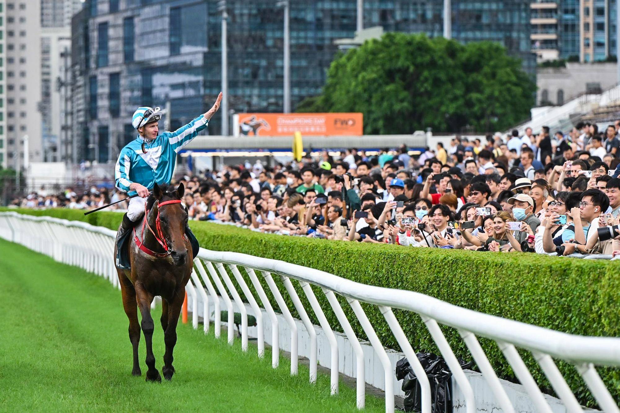 WW777766香港马会总纲诗，探索赛马运动的魅力与诗意表达