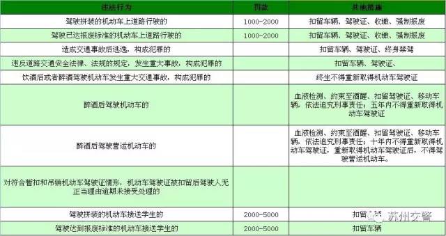 2024新奥彩开奖结果记录,经典说明解析_云端版84.60