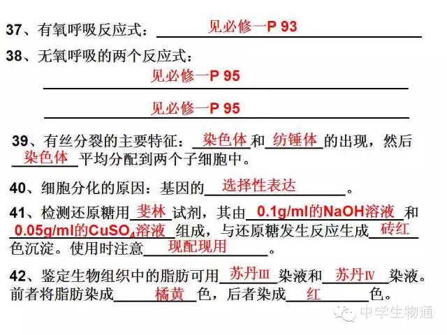 正版免费资料大全，全年无间断的知识宝库