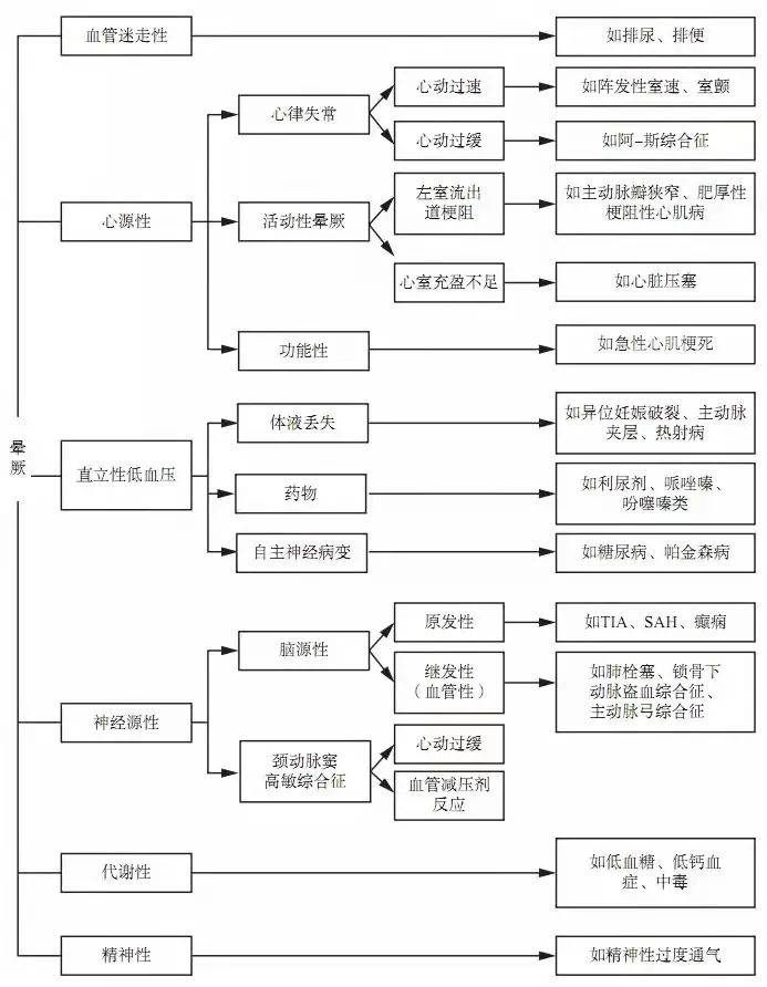 澳门4949开奖结果最快，探索彩票背后的秘密