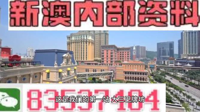 新澳门资料大全正版资料2024年免费下载，全面解析与前瞻性探讨