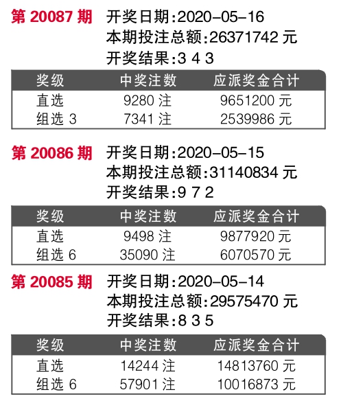 王中王开奖十记录网一，探索彩票背后的故事