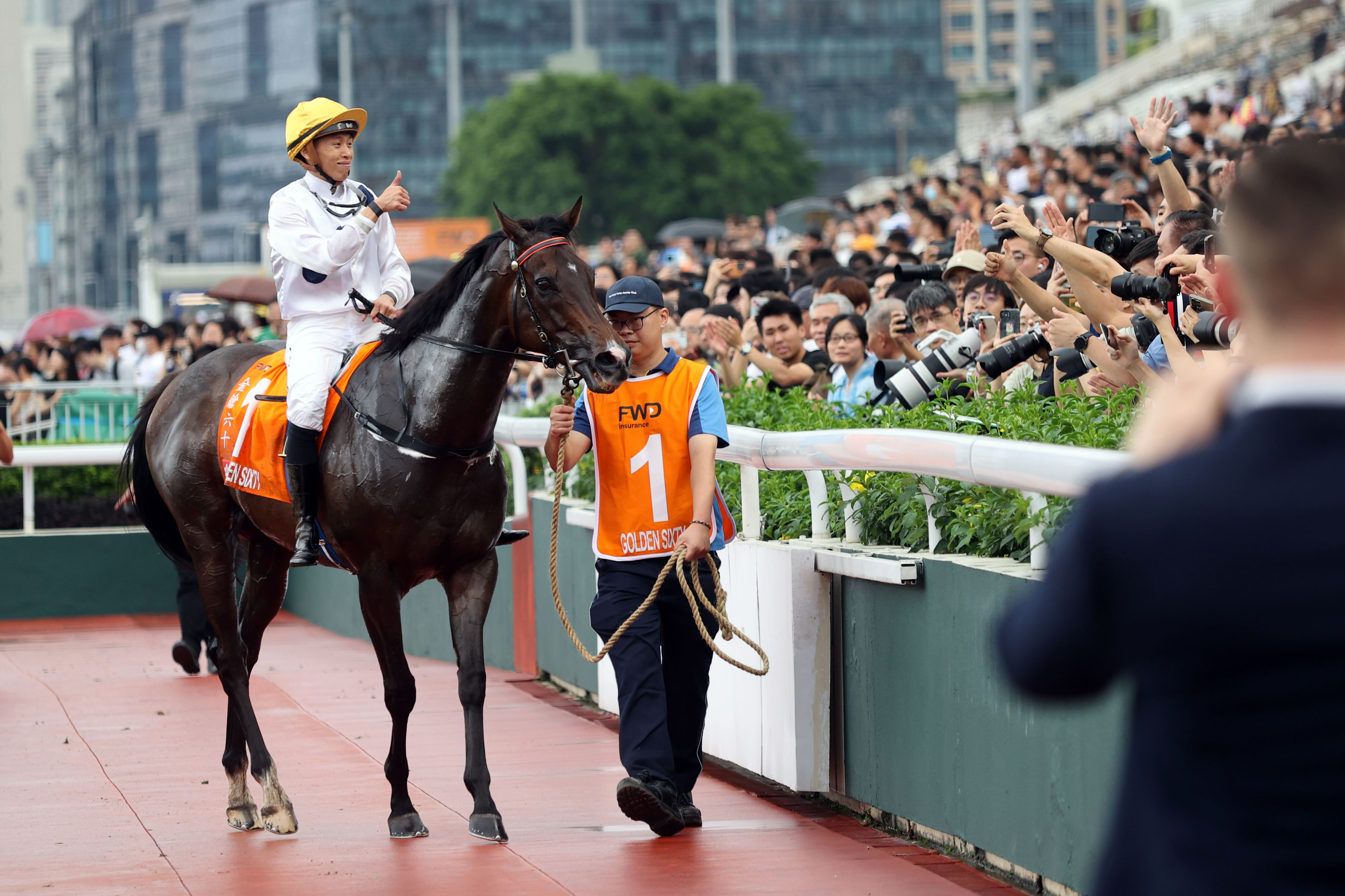 探索香港赛马，2024全年免费资料的独特魅力