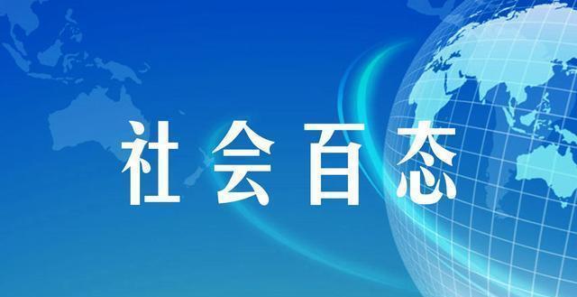 最新对比，技术革新与社会进步的并行发展