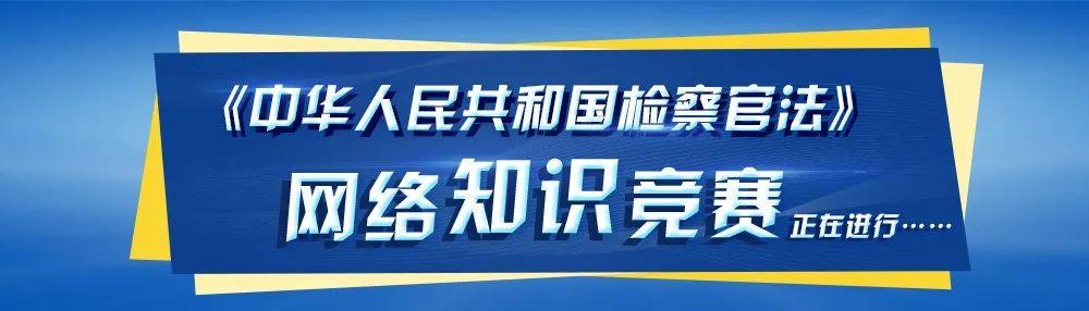 最新劫匪现象，揭示背后的真相与应对之策