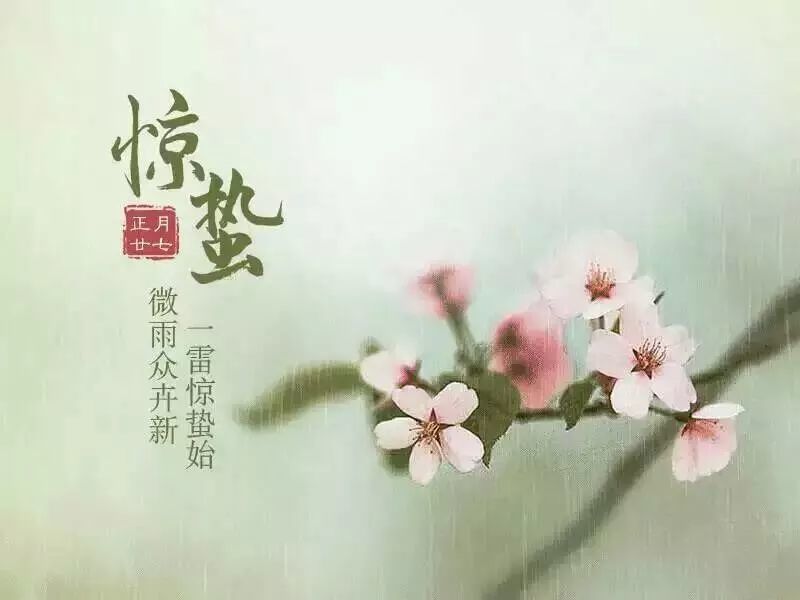 最新小雨，滋润万物的细腻乐章