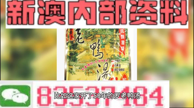 新澳正版资料与内部资料，探究背后的违法犯罪问题