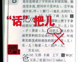 澳门三肖三码精准与新华字典，犯罪行为的警示与反思